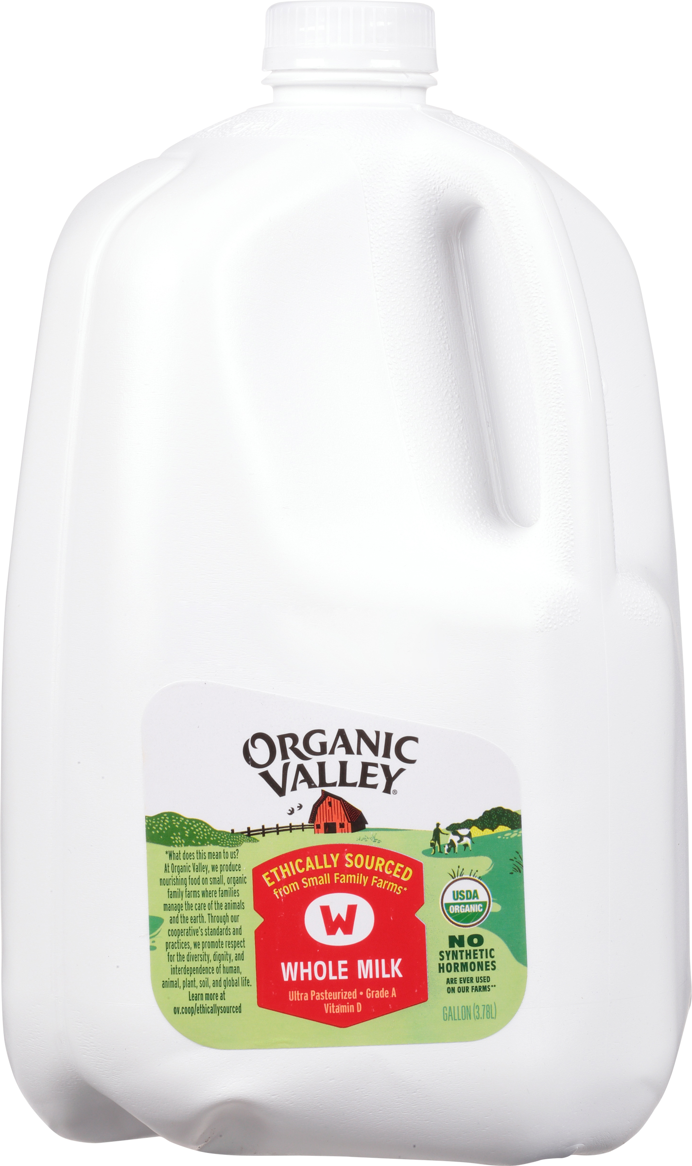 Milk, Whole