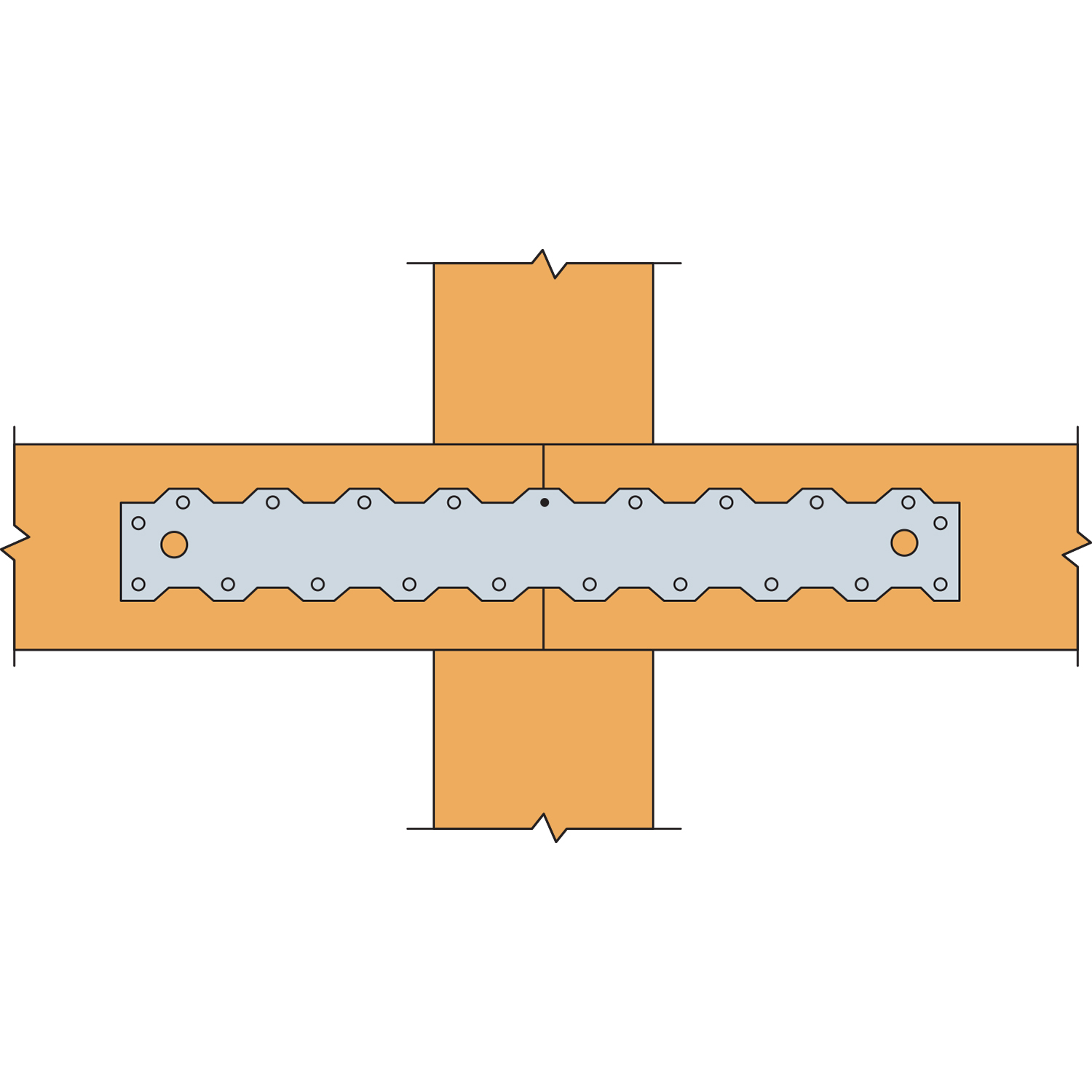 ALTERNATE_IMAGE