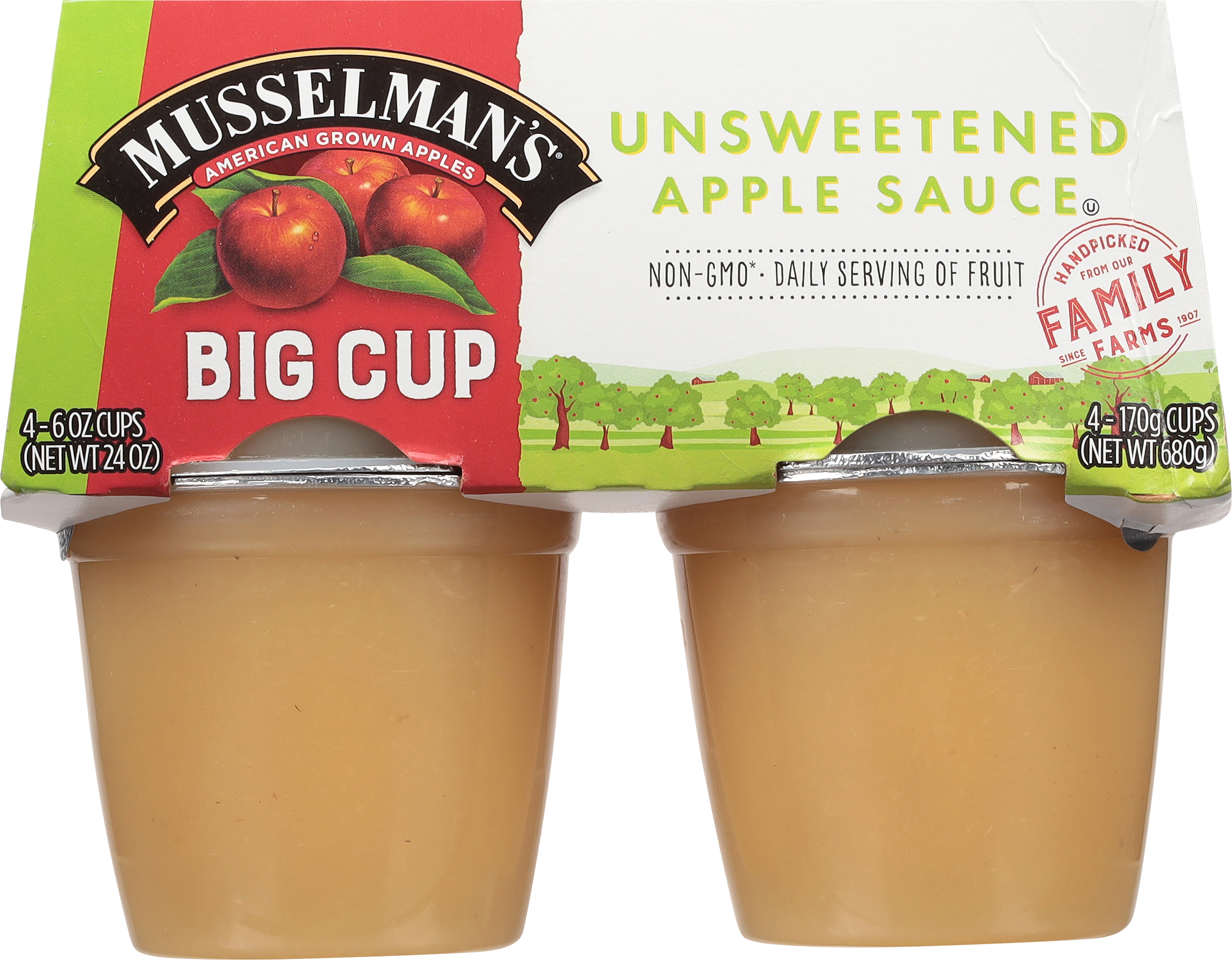 Unsweetened Apple Sauce