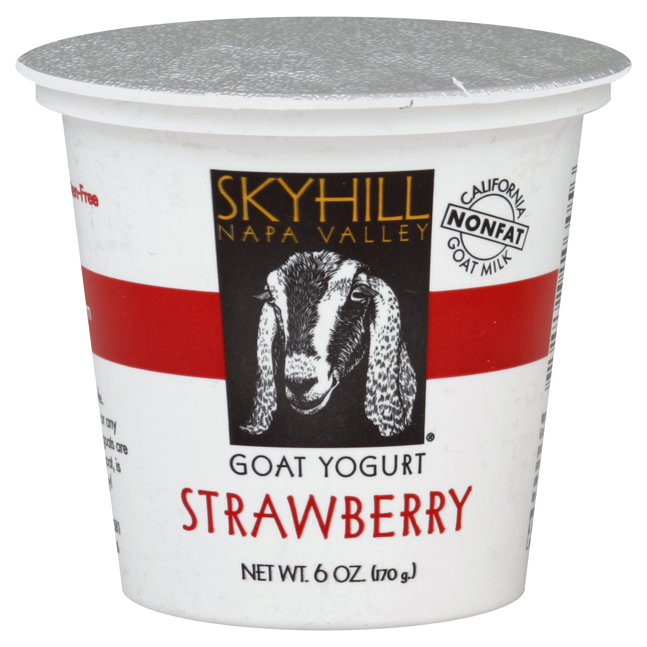 Skyhill Yogurt 6 Oz