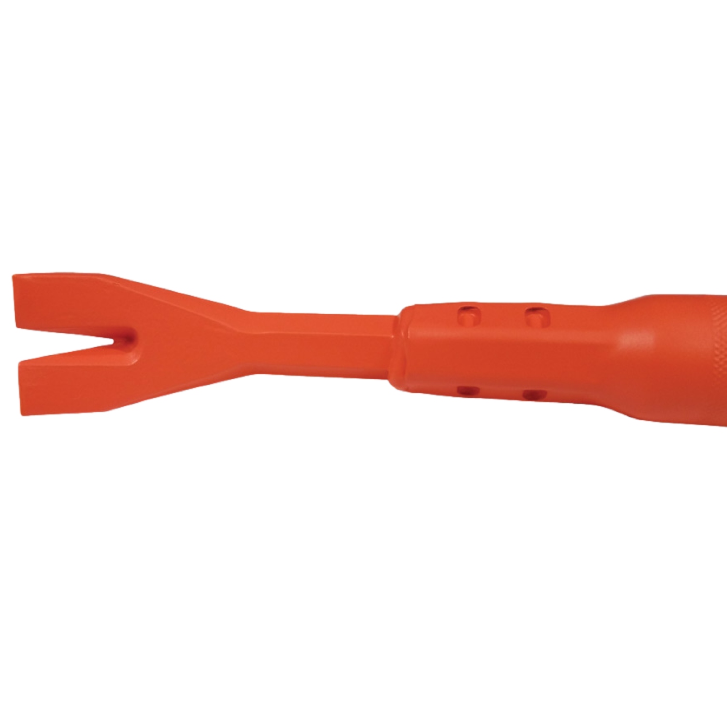 BOTTOM VIEW_IMAGE
