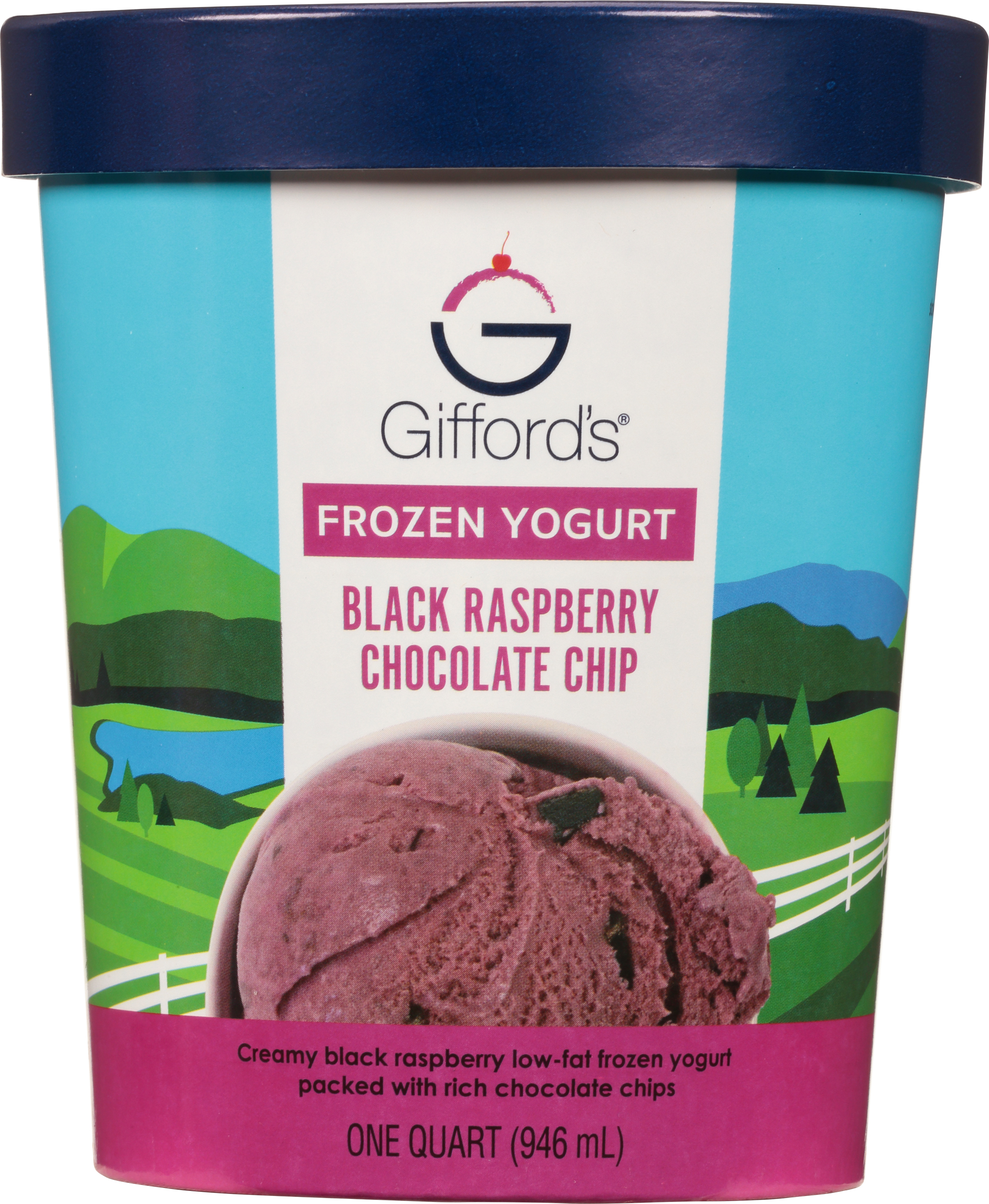 Frozen Yogurt, Black Raspberry Chocolate Chip