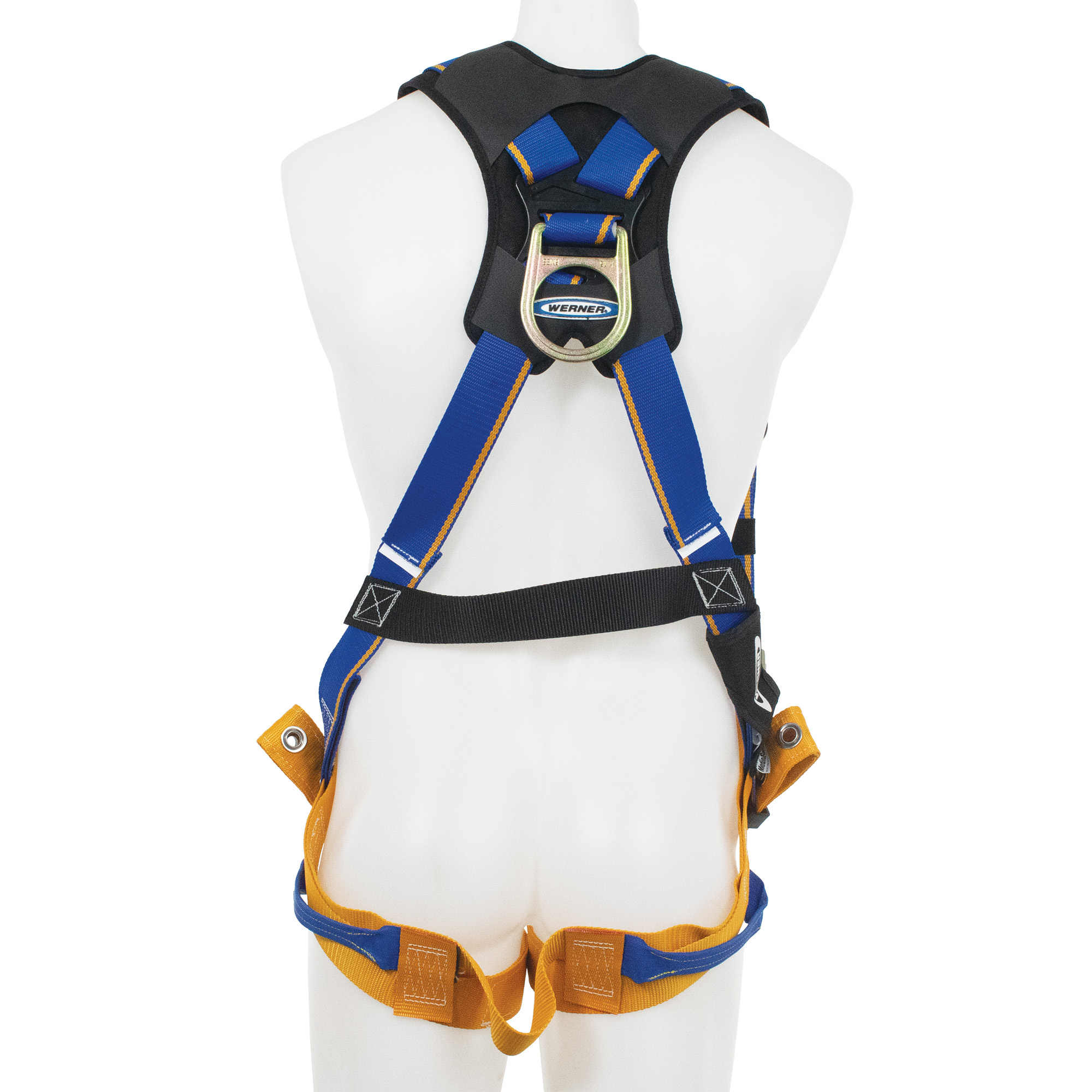 BACK VIEW_IMAGE