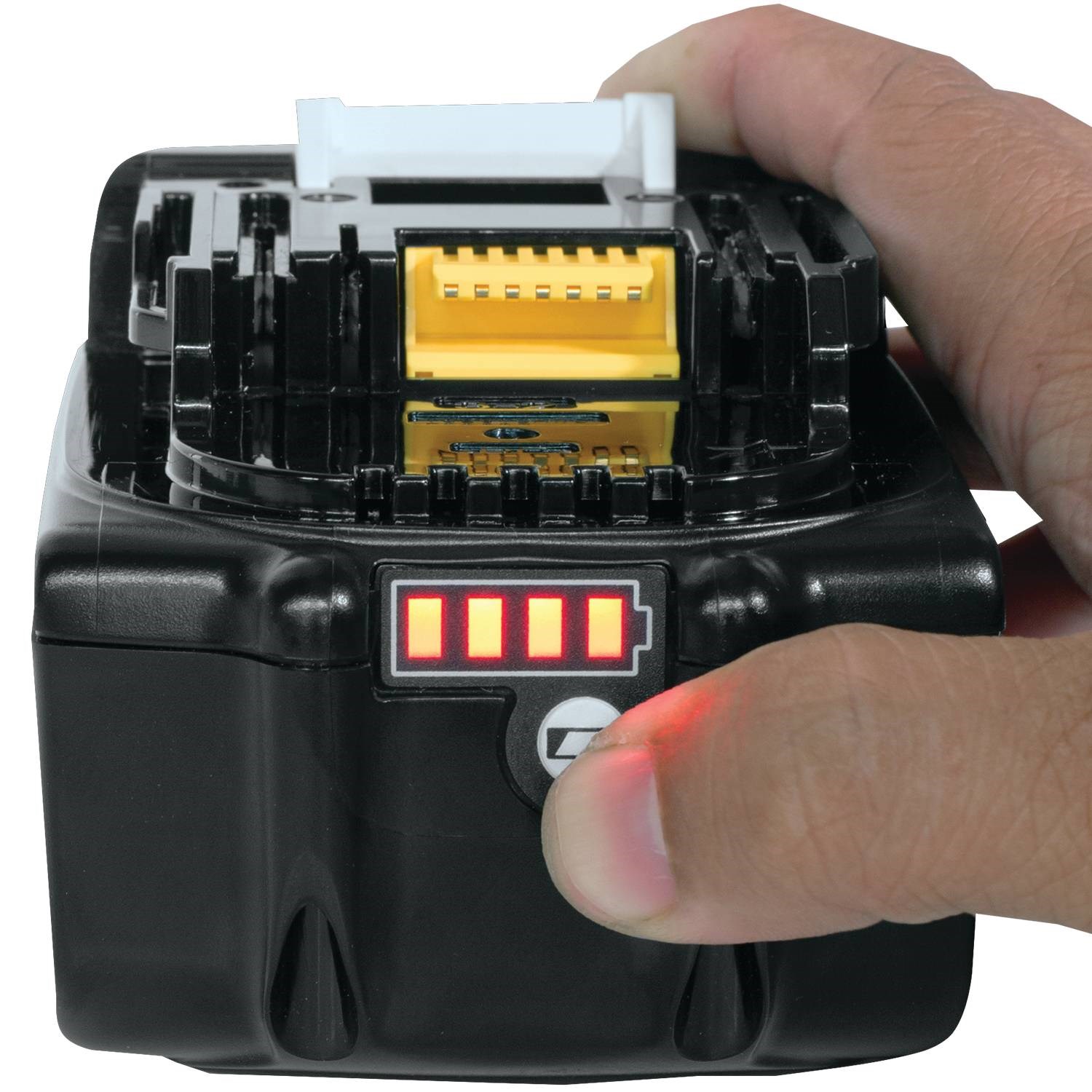 BOTTOM VIEW_IMAGE