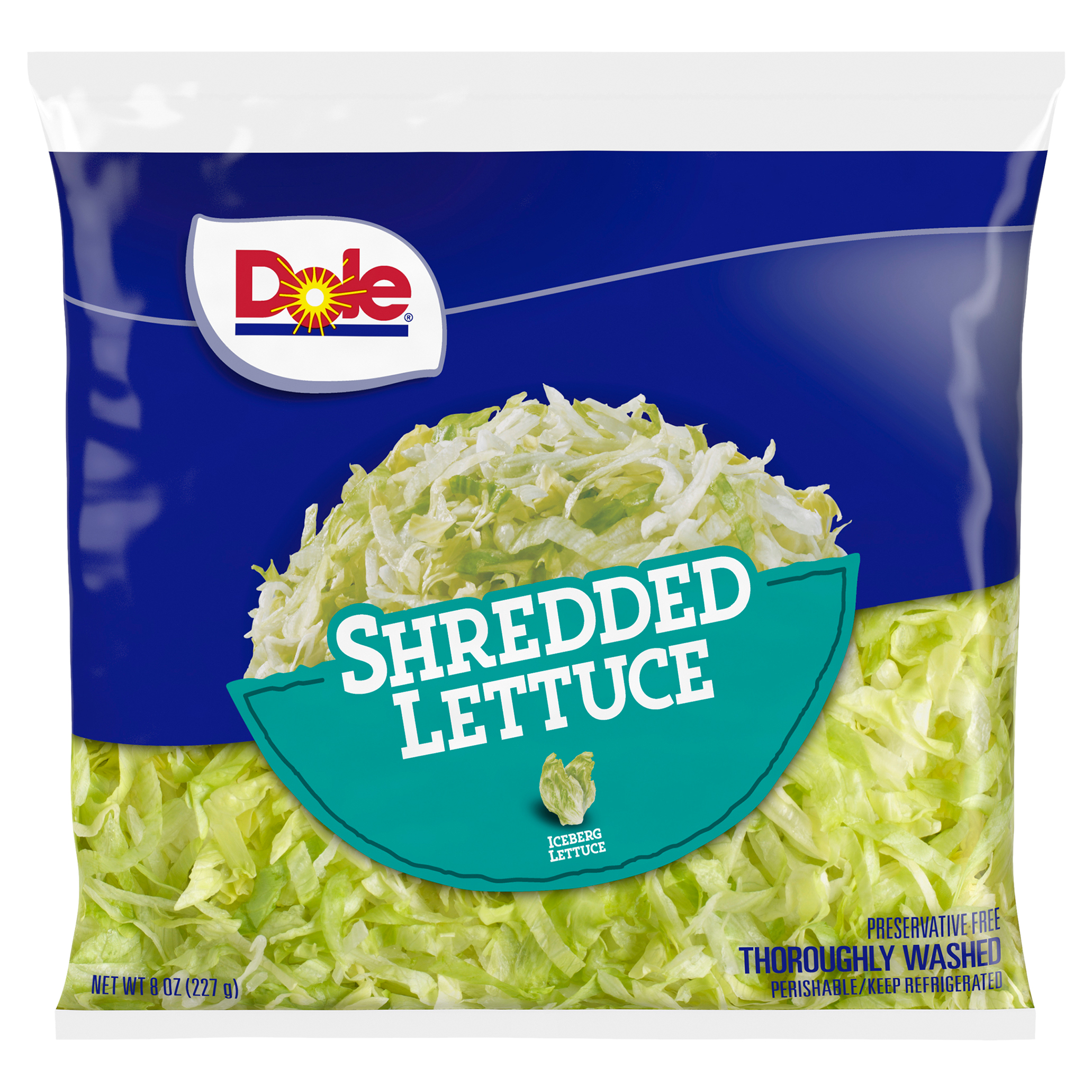 Iceberg Lettuce, Shredded