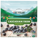 Blueberries, Organic image